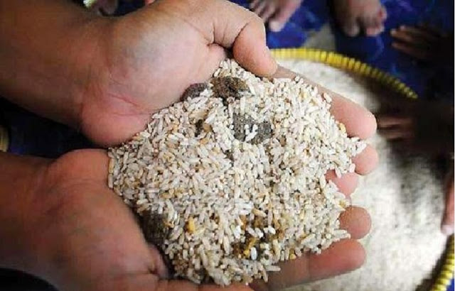 Bulog Bagikan Beras Kuning dan Bercampur Batu, Masyarakat Kecewa Bulog Bagikan Beras Kuning dan Bercampur Batu, Masyarakat Kecewa