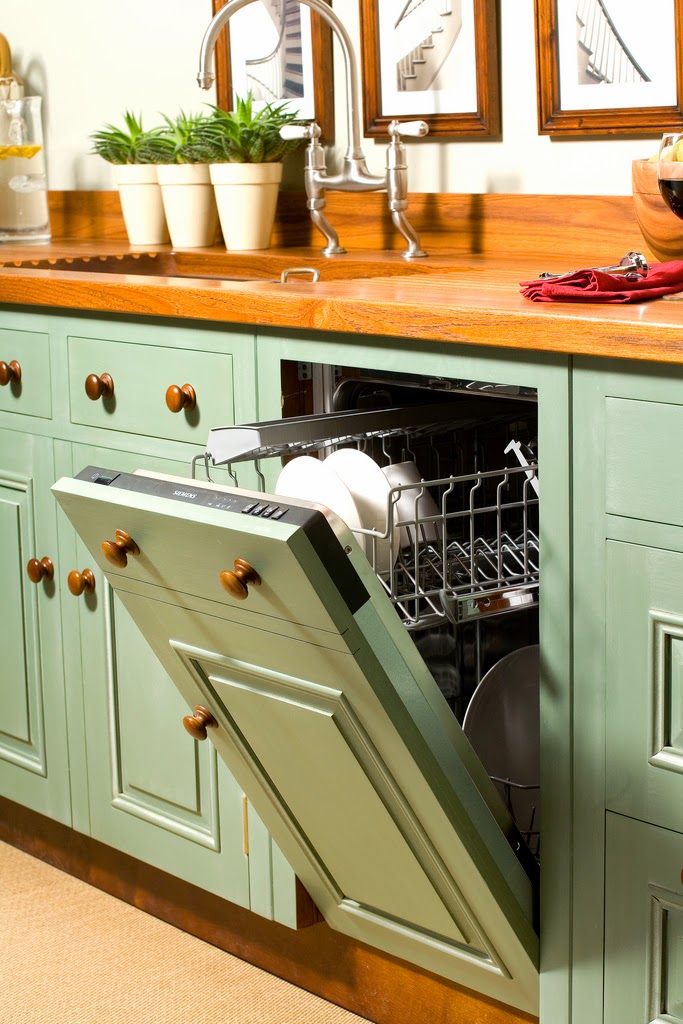 Raise a Green Dog! Some dishwashering detergents contain dangerous