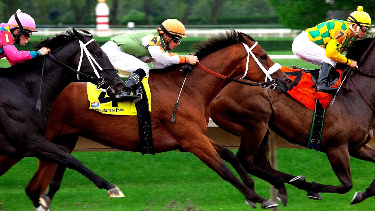 Race Horse Betting Horse Choices