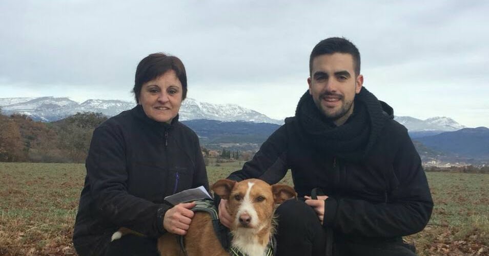 ASSOCIACIÓ EN DEFENSA DELS ANIMALS DE SOLSONA ASSOCIACIÓ EN DEFENSA DELS ANIMALS DE SOLSONA