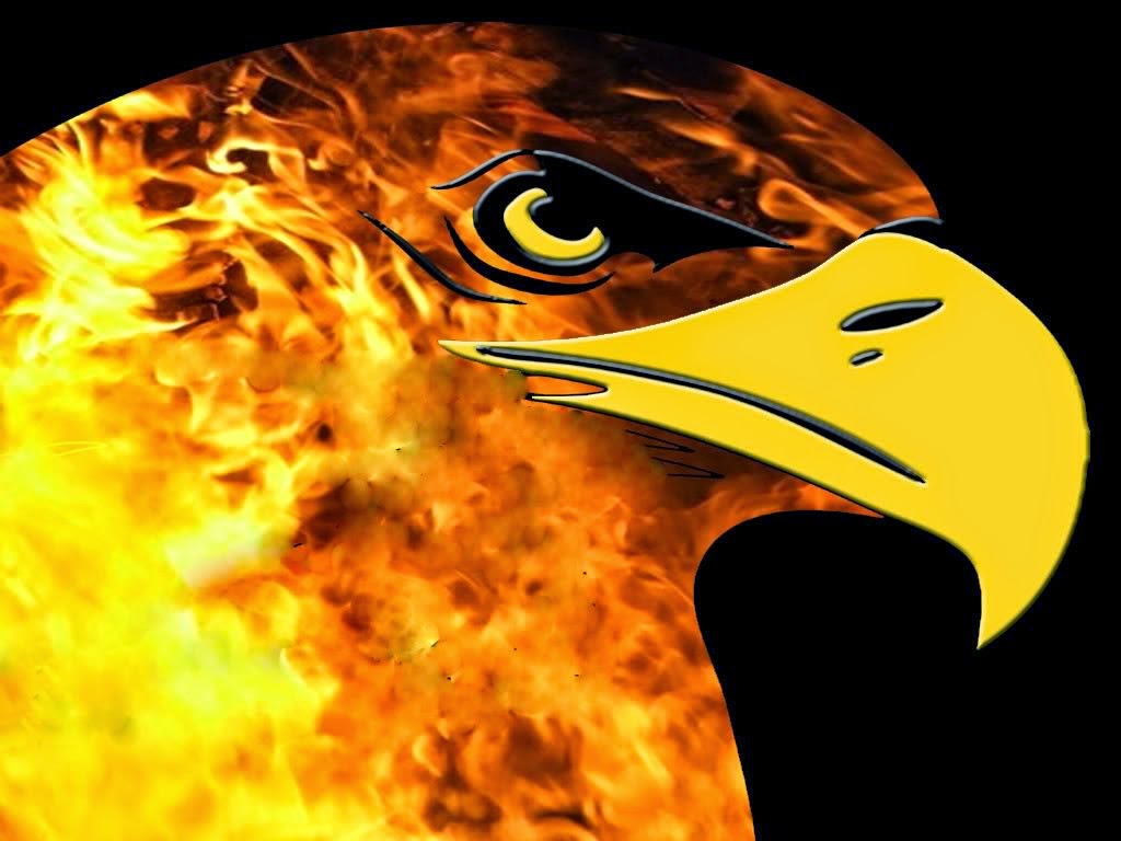 Menakjubkan 30 Wallpaper Gambar Rajawali Api - Richi Wallpaper