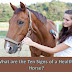 What are the Ten Signs of a Healthy Horse?