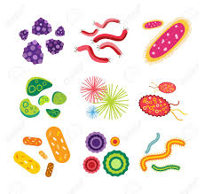 Microorganismos.