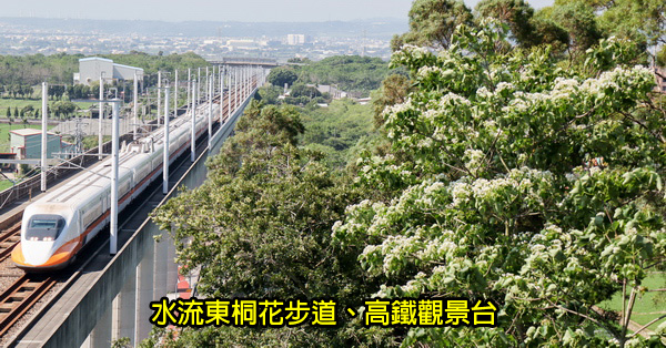 台中外埔|2019水流東桐花步道|高鐵觀景台|賞桐花近距離觀賞高鐵呼嘯而過 台中外埔|2019水流東桐花步道|高鐵觀景台|賞桐花近距離觀賞高鐵呼嘯而過