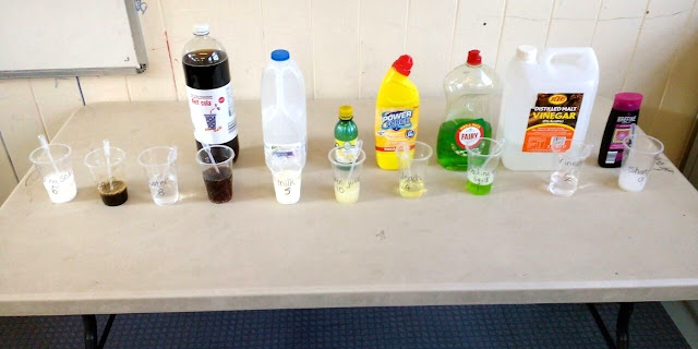 Red cabbage water indicator experiment to test for acids and bases / alkali from a muslim home school