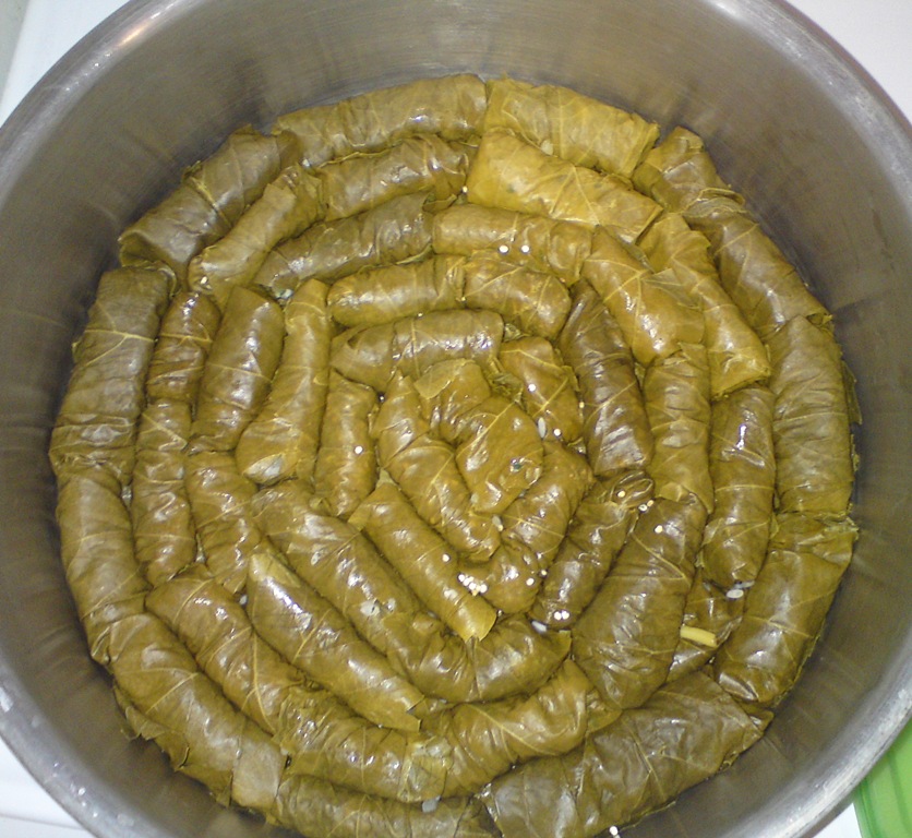 It All Tastes Greek To Me Stuffed Vine leaves with Rice, Raisins and