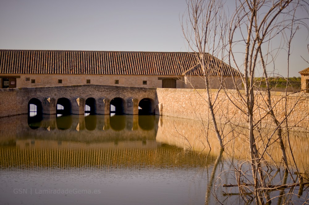 Las Tablas de Daimiel en otoño Los viajes de G