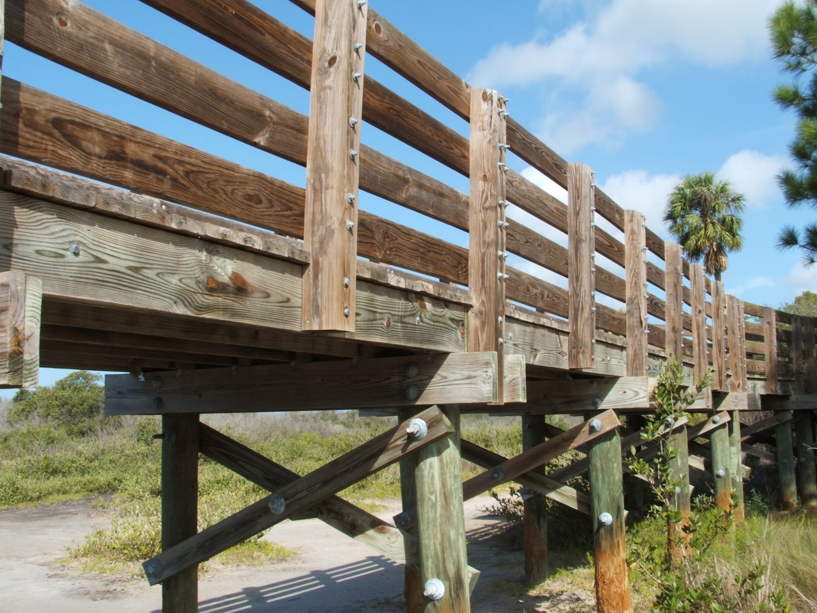 Walk in the Woods: BUILDING A BOARDWALK- The Deck WWFF-23