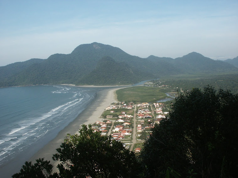 Imagem do Guaraú