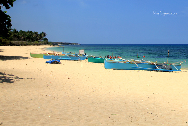 Patar White Beach Bolinao Pangasinan Blog