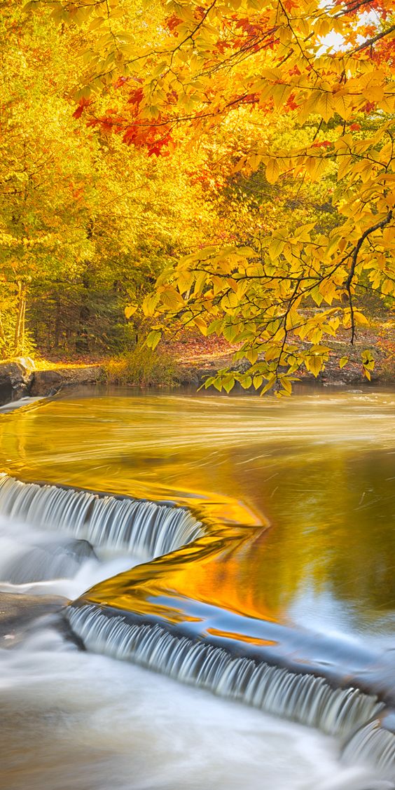 Autumn at Bond Falls State Park, Michigan