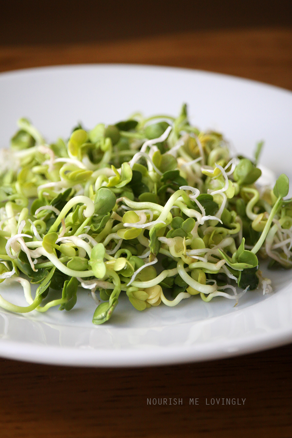 Nourish me lovingly: Radish sprouts