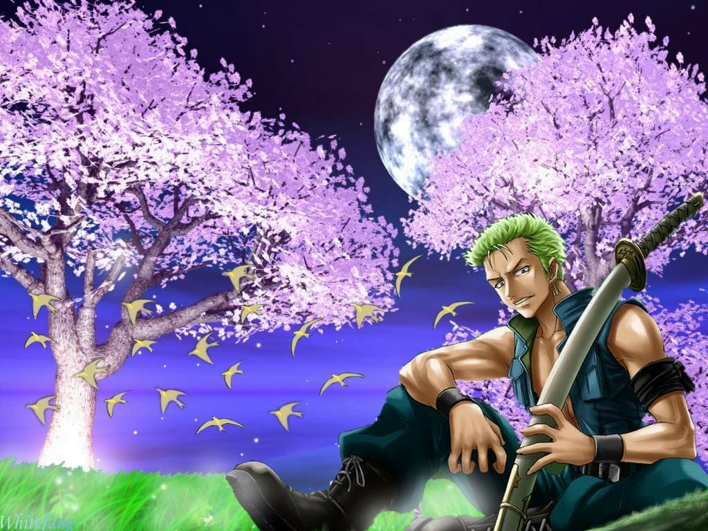 zoro one piece wallpaper | Free Wallpaper