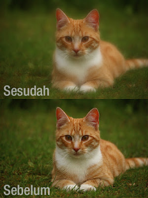 Gaussian Blur | Mengenal filter di Photoshop pembahasan ya yaitu masih dalam kategori Blur Gaussian Blur | Mengenal filter di Photoshop
