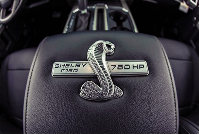 24+ 2019 Shelby F150 Price Canada Pictures