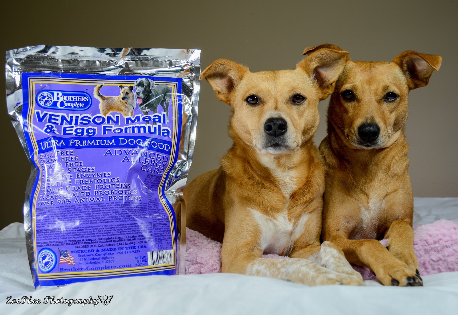 ZoePhee Brothers Complete Premium Dog Food Review