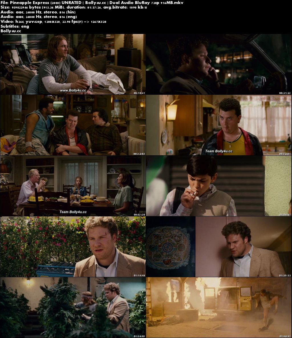 Pineapple Express 2008 BluRay 400MB UNRATED Hindi Dual Audio 480p Download