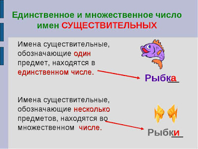 Единственное и множественное число существительных задания. Карточки число имен существительных 2 класс школа россии. Изменить число имен существительных задания. -задания на множественное и единственное число сущ 2 класс. Единственное и множественное число существительных 2 класс задания.
