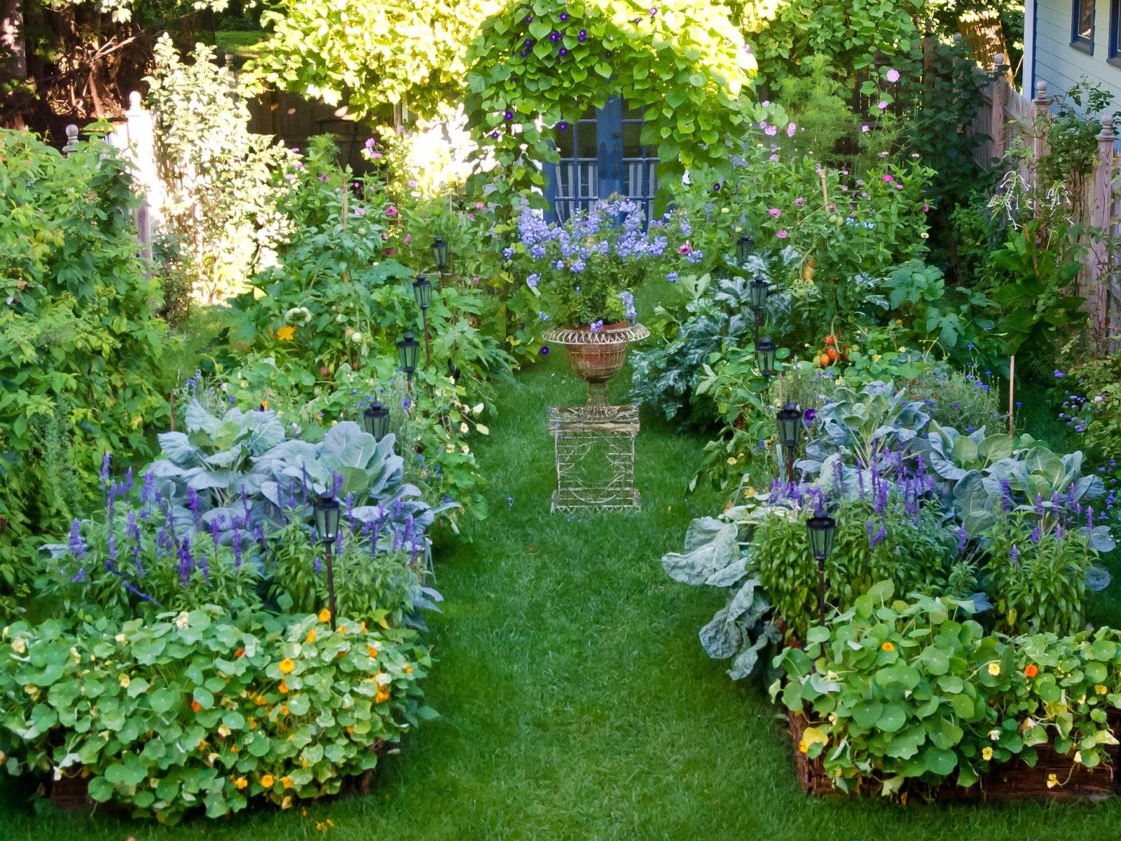 5 Easy to Grow Flowers The Devine Life