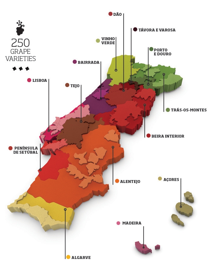 Mapa da VIticultura de Portugal