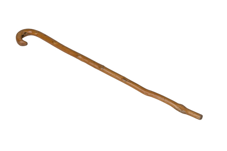 cayado.jpg