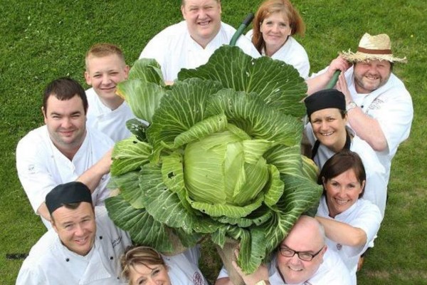Cemilan Dari Sayur Kol Resep Cara Membuat Sayur Sop