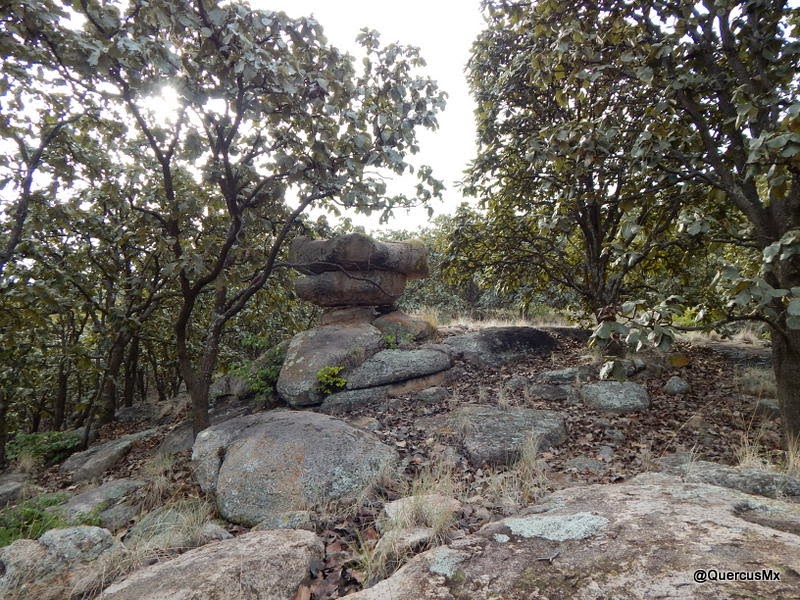 El Hongo de Piedra en el Cerro Jacal de Piedra