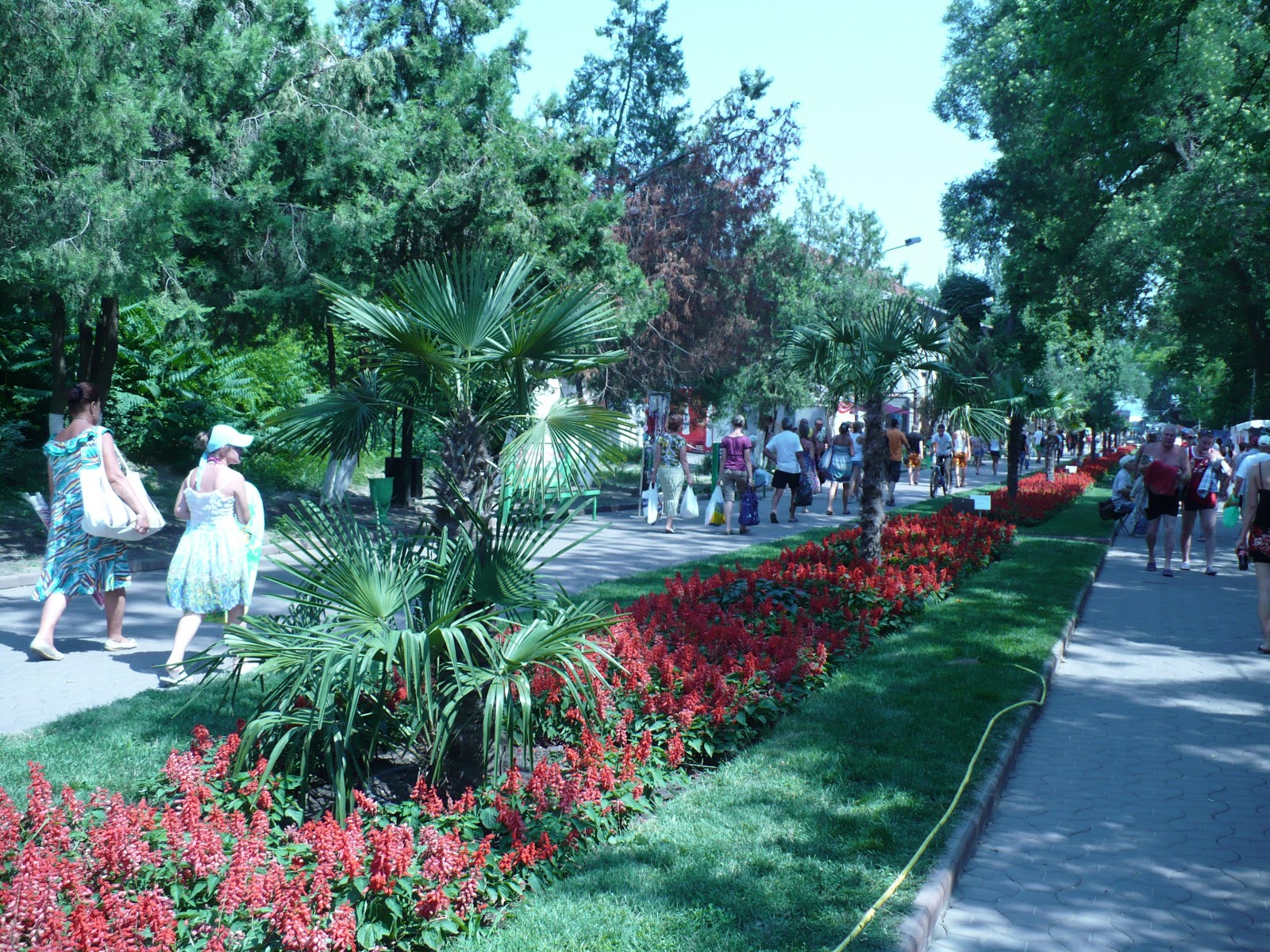 пляж аркадия