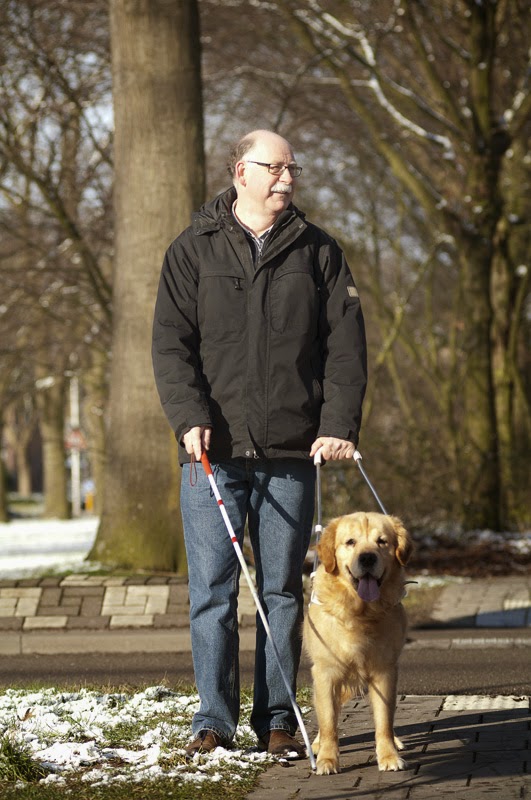 Guide dogs/seeing eye dogs are one type of working dog