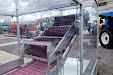 XXXIII Farm Fair of Castilla-La Mancha: Expovicaman 2013