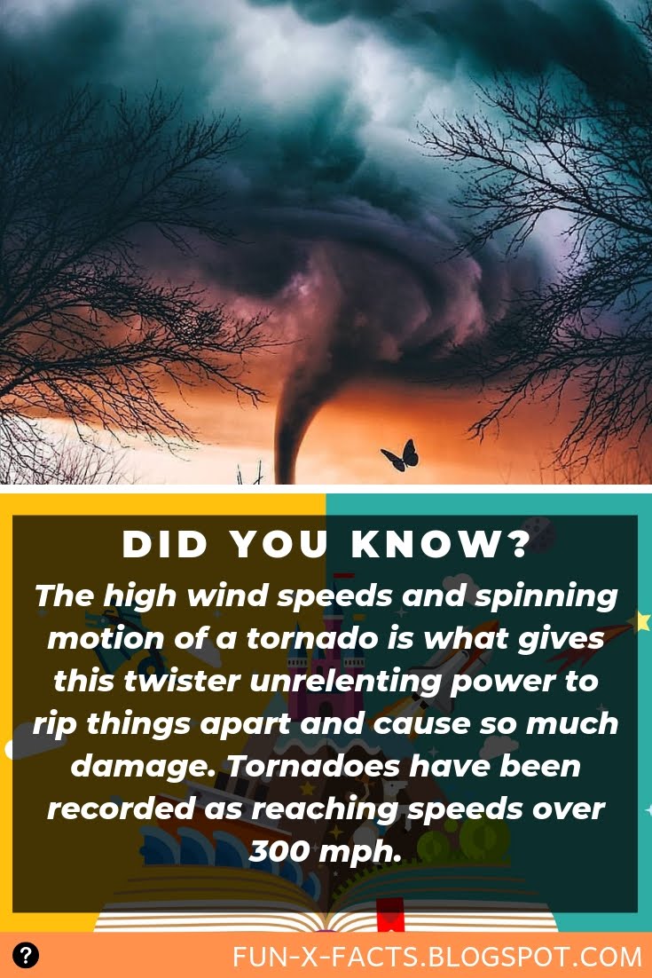 The Highest Wind Speed In A Tornado Amazing WTF Facts the-highest-wind-speed-in-a-tornado-amazing-wtf-facts