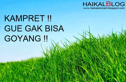 Chord Lagu Ebiet Tanyakan Pada Rumput Yang Bergoyang