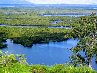 Danau sentarum kalimantan Danau sentarum kalimantan