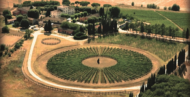 Vinícola Avignonesi Vinícola Avignonesi