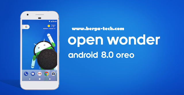 Android 8.0 versi Oreo Update OTA  Kini sudah tersedia DOWNLOAD Programnya di Berga tech  