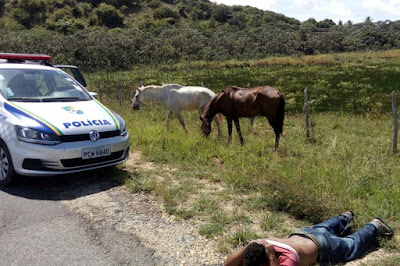 Dupla é presa em flagrante após roubo de animais na Barra dos Coqueiros Dupla é presa em flagrante após roubo de animais na Barra dos Coqueiros