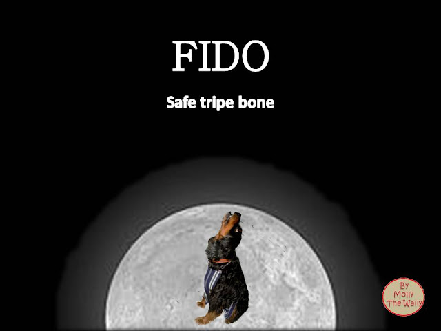 Safe Trip Home Dido album cover by Molly The Wally!