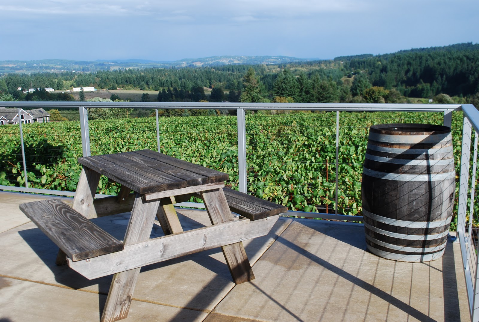 Sip With Me!: Flying High at Raptor Ridge's New Winery