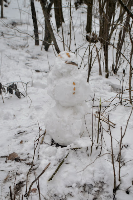 ПРОГУЛКА ДОБРЫЕ ДЕЛА
