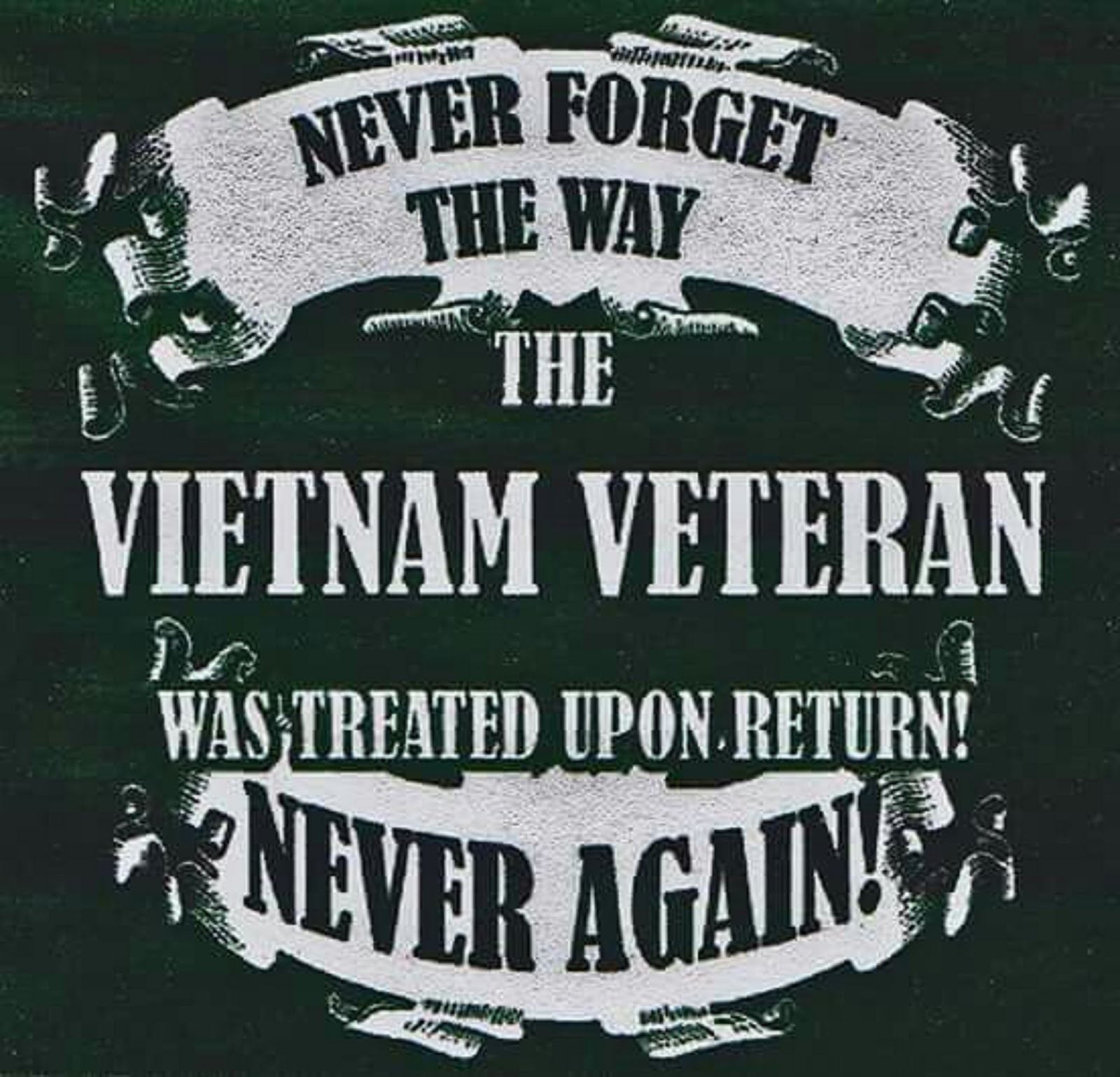 NEVER FORGET THE WAY THE VIETNAM VETERAN WAS TREATED WHEN WE ARRIVED HOME