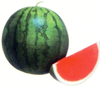 THƠ Mừng Xuân Quý Tỵ