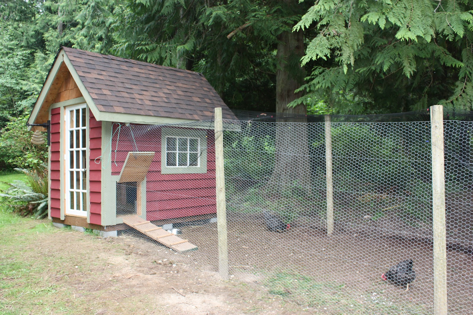 Northwest Foraging Chicken Coop Construction