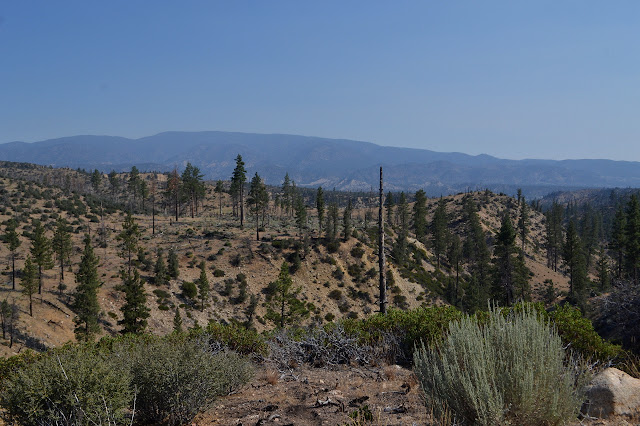 low and easily eroded hills with sparse trees