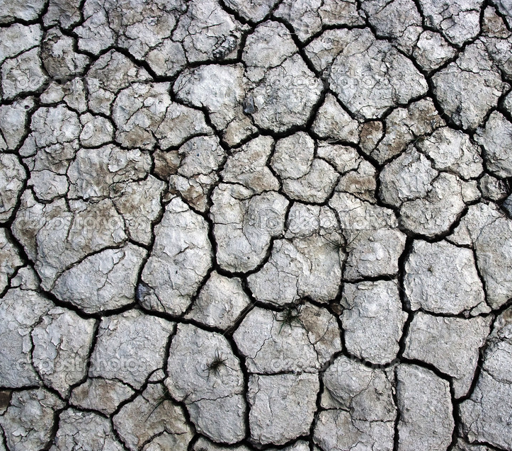 North In Wisconsin Texture Examples