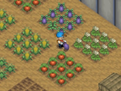 harvest moon chicken coop 11