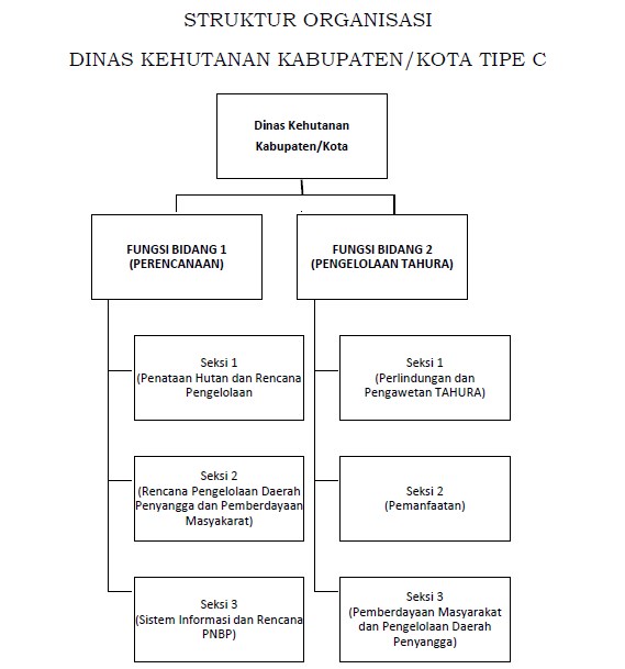 STRUKTUR ORGANISASI DINAS KEHUTANAN KABUPATEN/KOTA TIPE C STRUKTUR ORGANISASI DINAS KEHUTANAN KABUPATEN/KOTA TIPE C