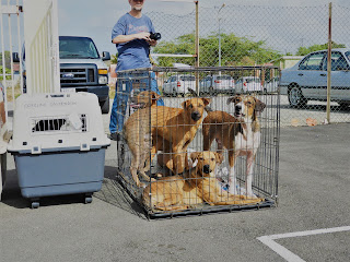 10 Jungennamen Zu Jedem Buchstaben Aktualisiert April 2019 3