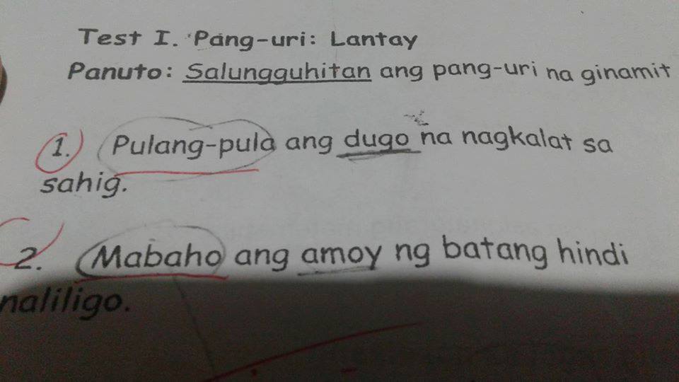 Parent questions "disturbing" EJK questions on Grade 2 test papers
