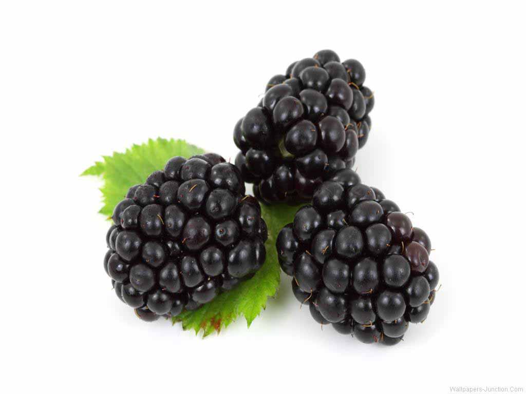 Blackberry, history and health benefits for the heart and pregnant