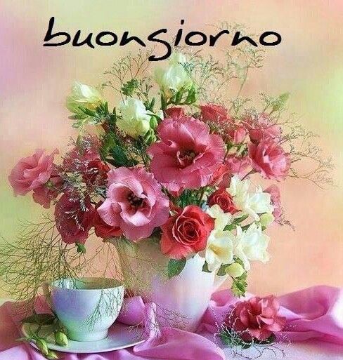 che la vita continua buongiorno immagini teneri christmas in l a